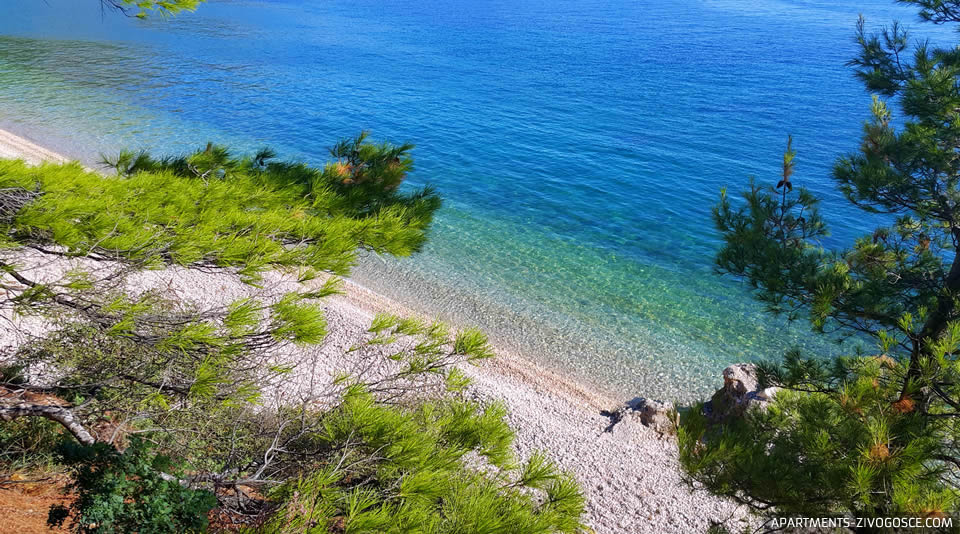 Živogošće Blato plaža Dole